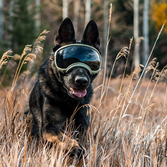 Dog Goggles Anti UV