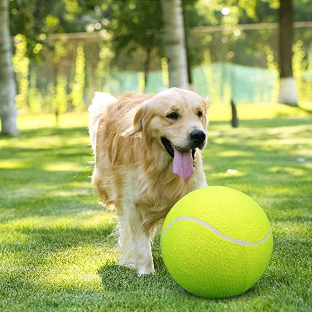 Giant Tennis Ball