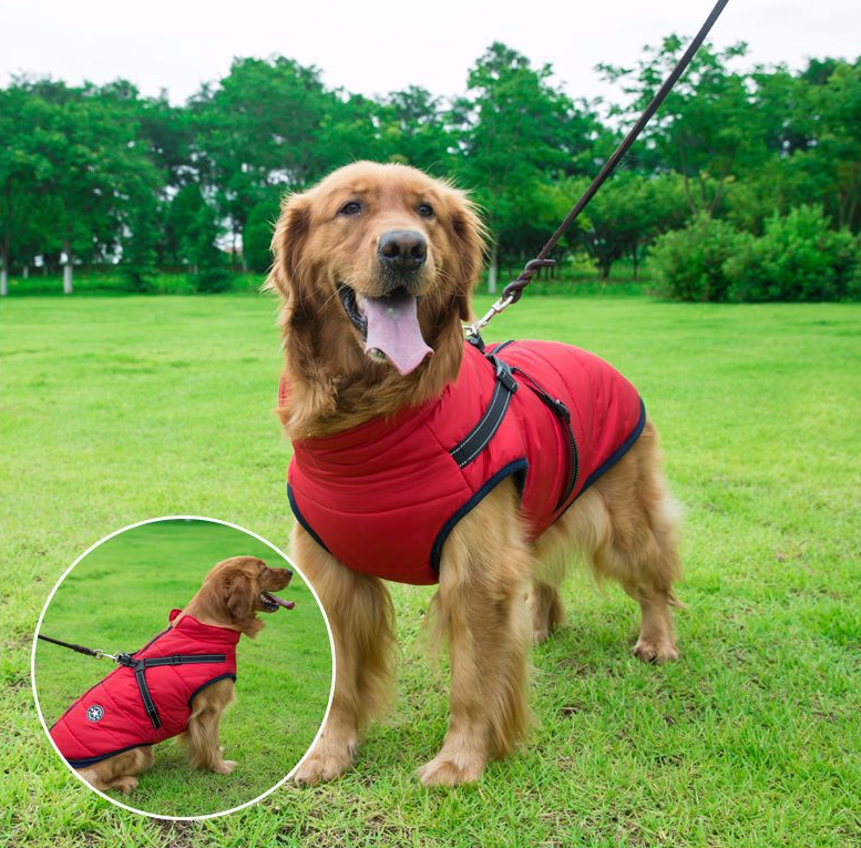 Waterproof Winter Jacket Dog Harness